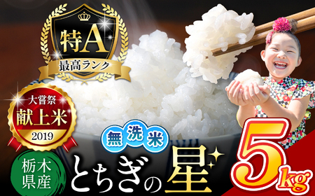 栃木県産 とちぎの星 無洗米 5kg |  お米 米 こめ おにぎり ごはん ご飯 令和6年産 栃木県 真岡市 ブランド米 