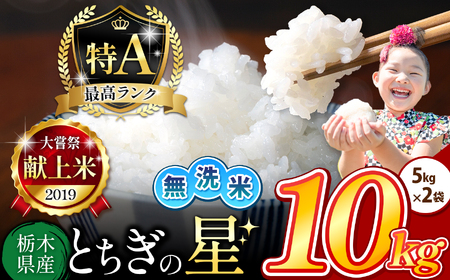 栃木県産 とちぎの星 無洗米 10kg |  お米 米 こめ おにぎり ごはん ご飯 令和6年産 栃木県 真岡市 ブランド米 