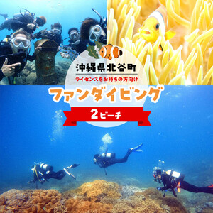 【ふるさと納税】【ふるさと納税】沖縄県北谷町　2ビーチファンダイビング | 沖縄 体験 人気　