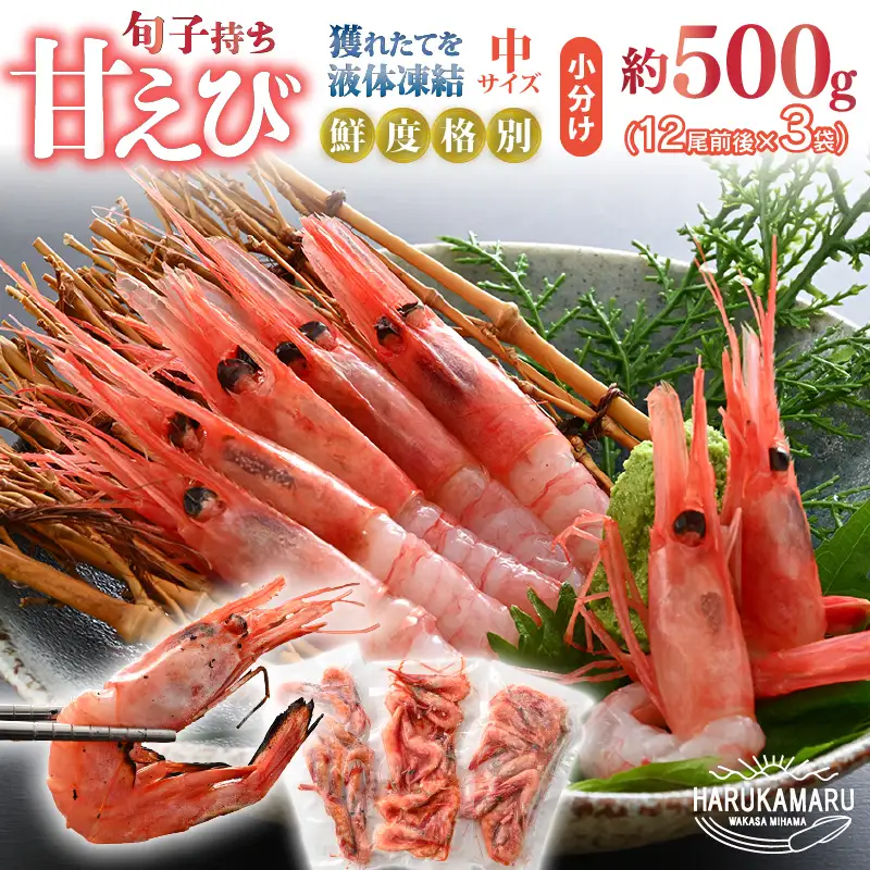 旬子持ち甘えび 小分け 約500g【12尾前後 × 3袋】中サイズ 鮮度格別 獲れたてを液体凍結 甘エビ 海老 お刺身 [m36-a014]