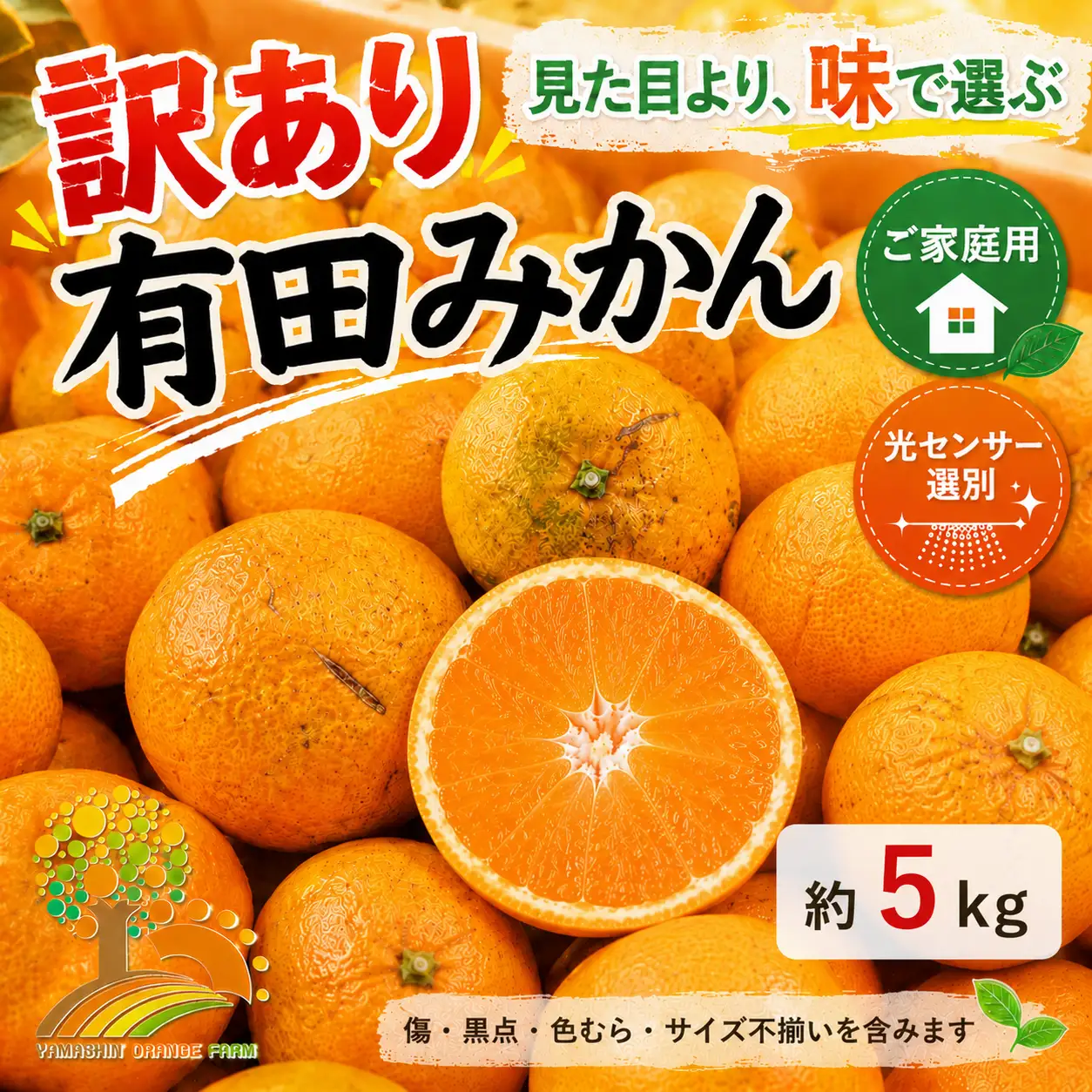 【先行受付】【訳あり】有田みかん 5kg ｜ みかん みかん みかん みかん みかん
