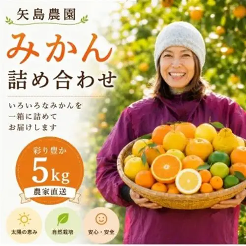 みかん色々♪季節の柑橘詰合せ5kgいろんな種類が一箱に詰まった楽しいみかんBox【先行受付】【1531518】