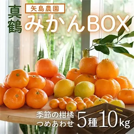 みかん色々♪ 季節の柑橘詰合せ10kgいろんな種類が一箱に詰まった楽しいみかんBox【先行受付】【1531525】