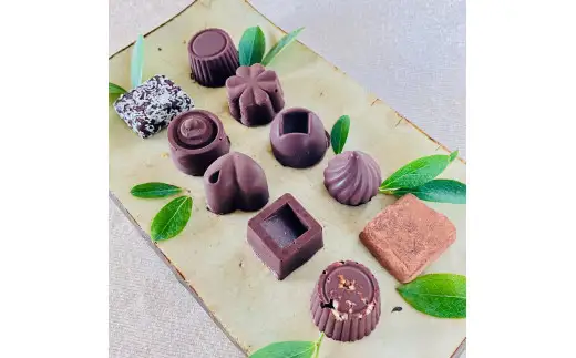 ミニビター&生チョコ詰合わせ＜10個＞白砂糖不使用_A0021-080