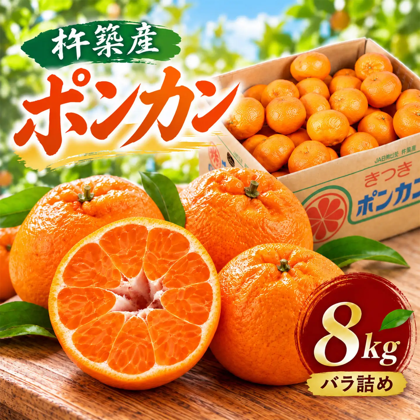 ポンカン 8kg（バラ詰め）／ ミカン みかん 蜜柑 柑橘 8kg 柑橘類 ぽんかん ポンカン フルーツ 先行予約 1月 1月発送 ＜132-005＞