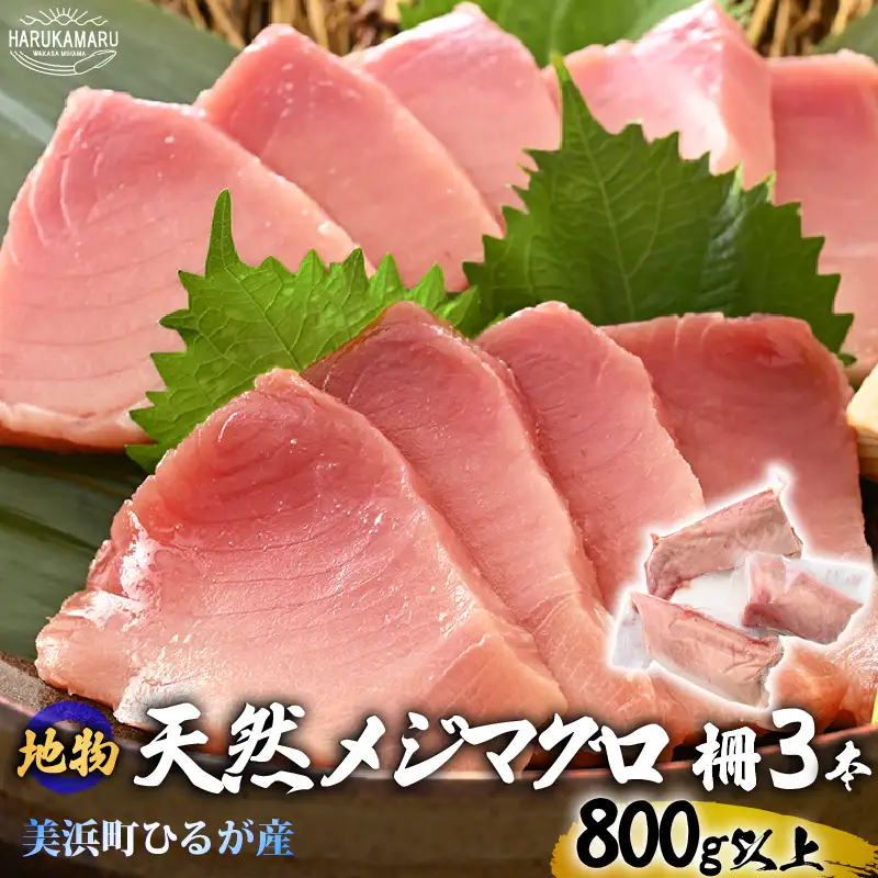 【先行予約】天然！地物！ひるがのメジマグロ 柵3本【合計800g以上】【2027年2月中旬以降順次発送予定】【マグロ 刺身】 [m36-c003]
