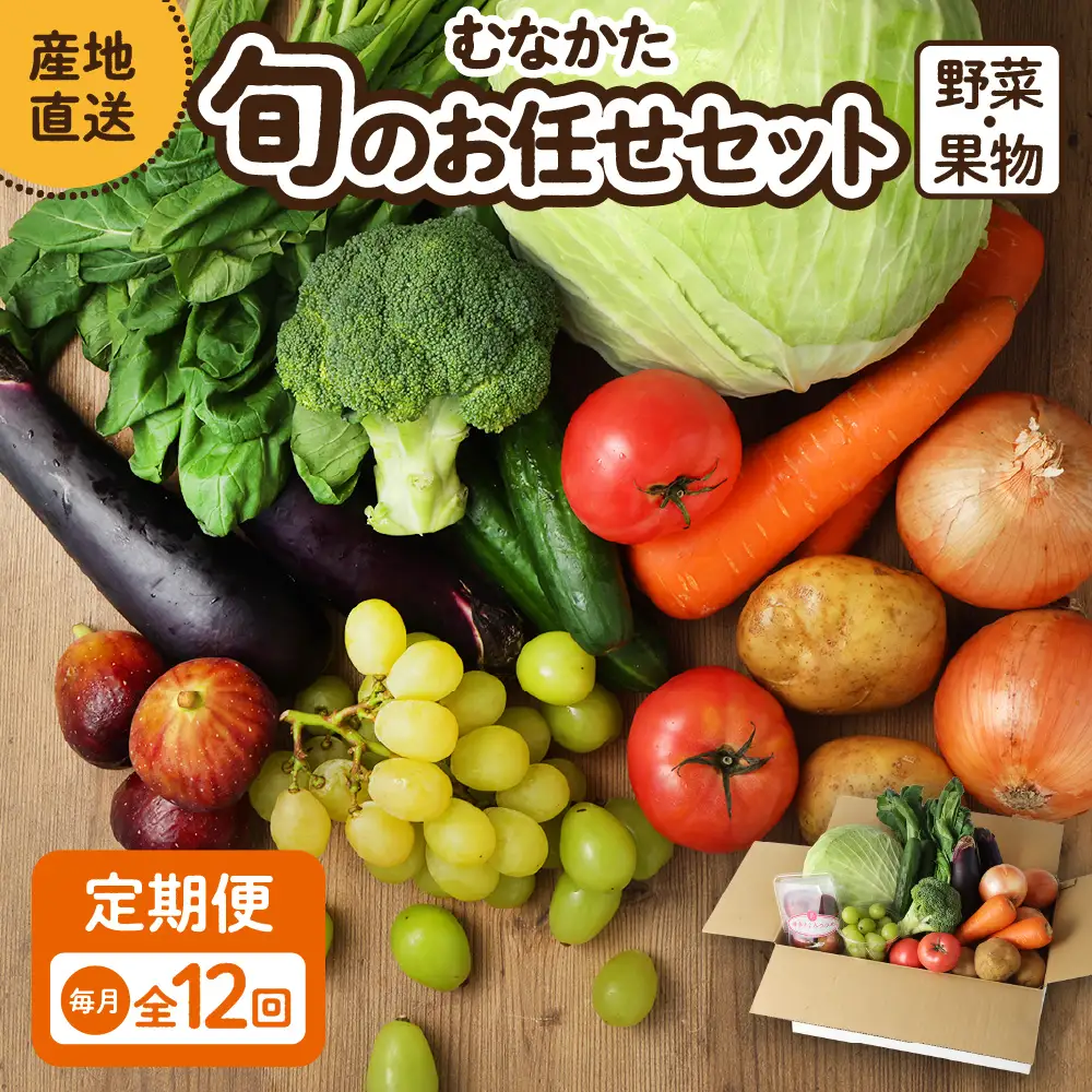 【毎月お届け】むなかた旬のお任せセット（野菜・フルーツ）9～11品【JAほたるの里】_HB0175