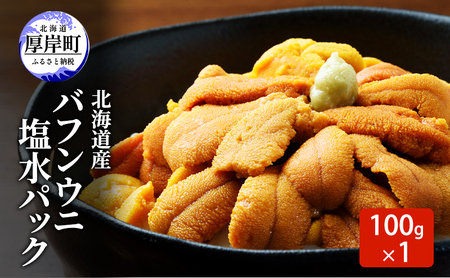 うに 北海道産 バフンウニ 塩水パック 100g×1 ウニ
