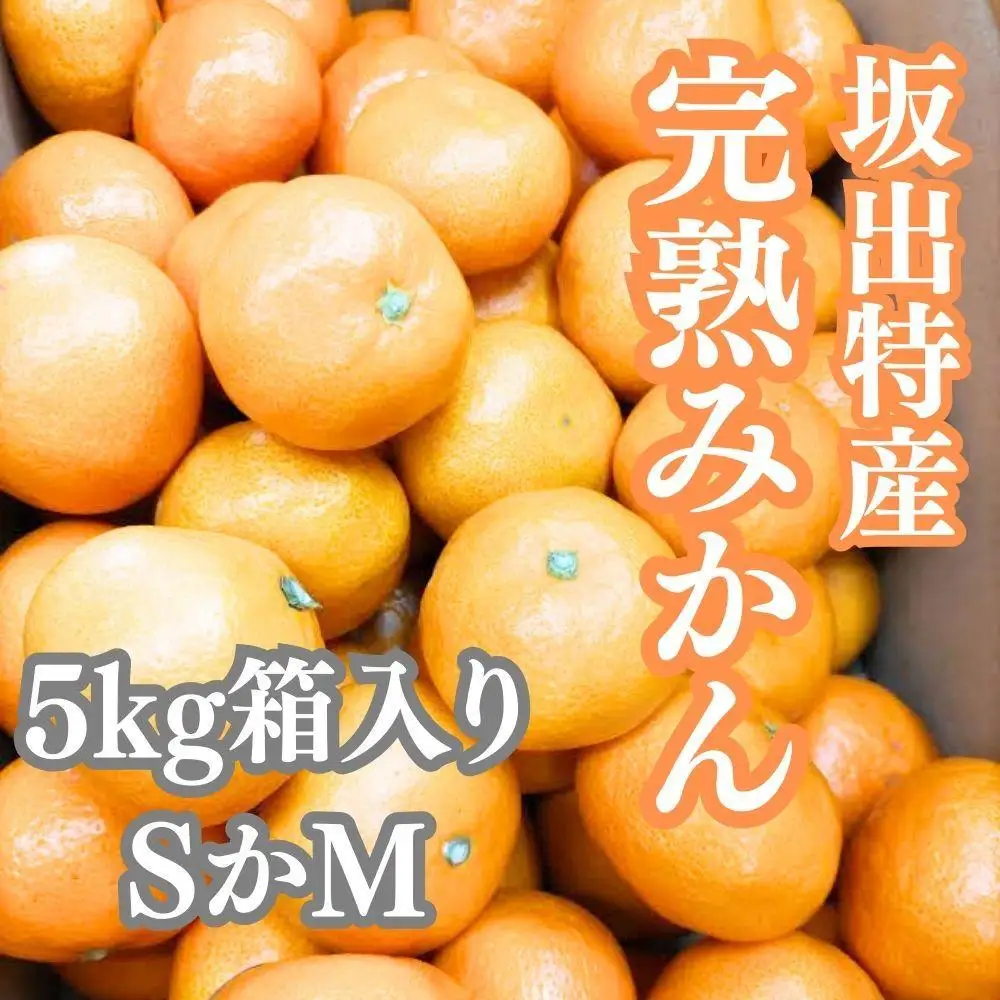 坂出特産みかん 約5kg入り（SまたはMサイズ）