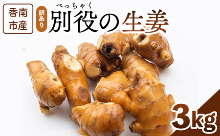 生姜 家庭用 3kg 【生姜 やさい 生姜 国産 生姜 旬 生姜 高評価 生姜 人気 生姜 おすすめ】 bc-0018