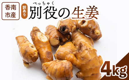 生姜 4kg 訳あり 香南市産 別役の生姜 - しょうが ショウガ ジンジャー 薬味 調味料 国産 訳アリ 家庭用 キズ 株式会社べっちゃく 高知県 香南市 bc-0019