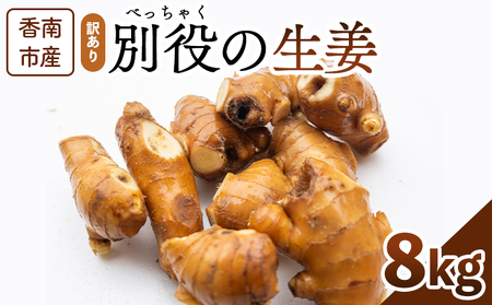 生姜 8kg 訳あり 香南市産 別役の生姜 - しょうが ショウガ ジンジャー 薬味 調味料 国産 訳アリ 家庭用 キズ 株式会社べっちゃく 高知県 香南市 bc-0020