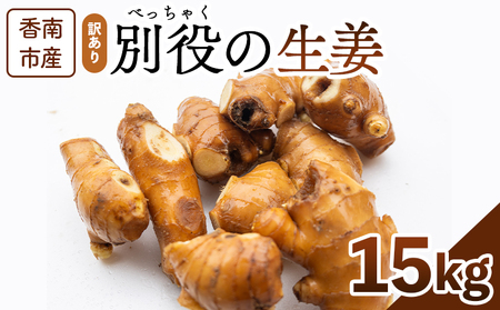 生姜 訳あり 香南市産 別役の生姜 15kg - しょうが ショウガ ジンジャー 薬味 調味料 国産 訳アリ 家庭用 キズ 株式会社べっちゃく 高知県 香南市 bc-0022