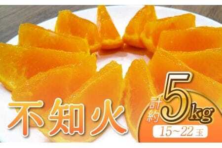 令和8年熊本地震復興支援 先行予約 不知火 約5kg（15～22玉） ひがし果樹園【2027年3月上旬?4月下旬頃順次発送予定】