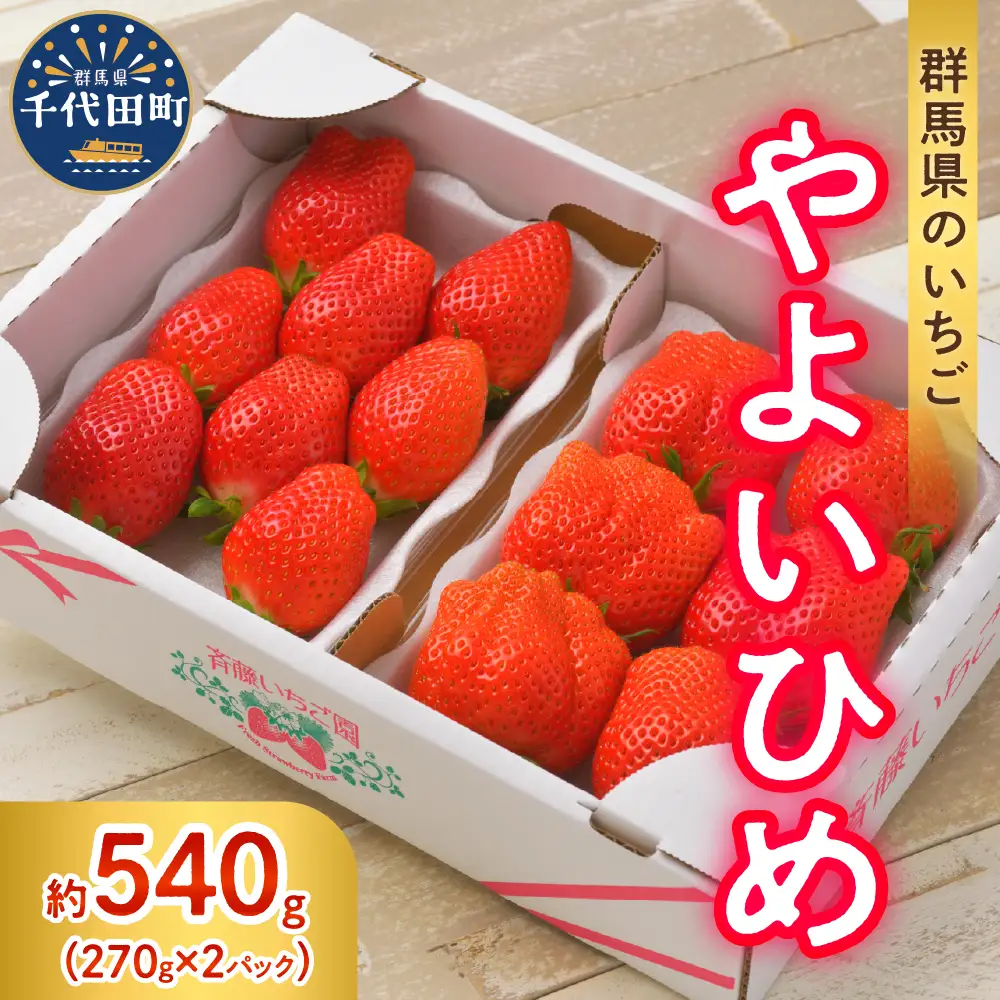 【クール便】2027年3月発送 いちご やよいひめ 約270g×2