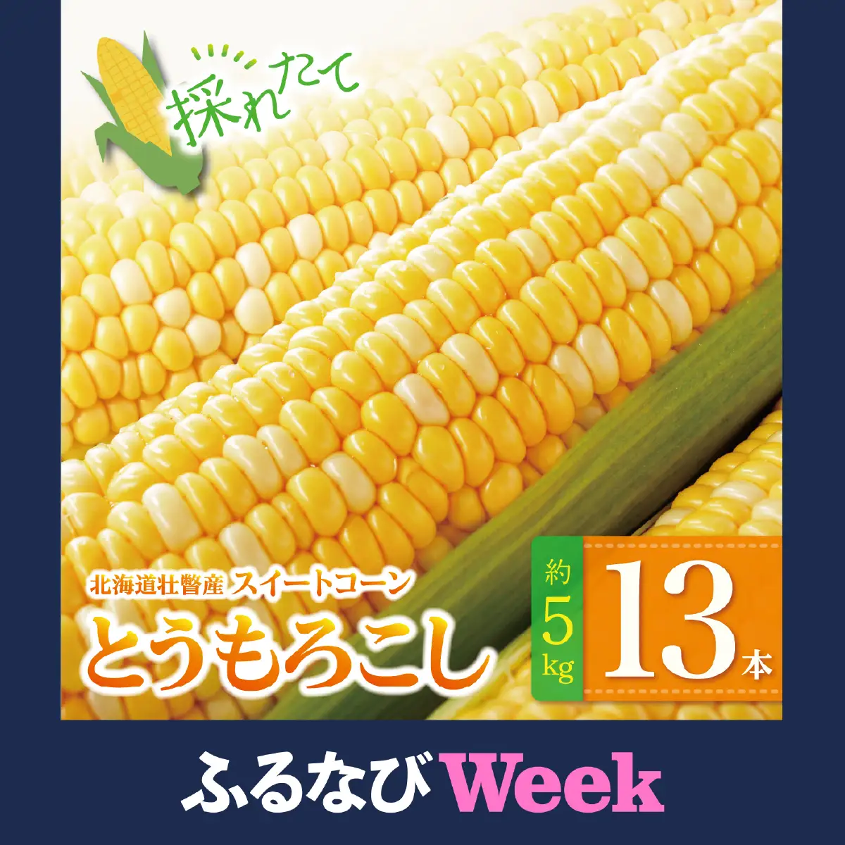 【ふるなびWEEK対象】＜2026年8月上旬よりお届け＞北海道壮瞥産 とうもろこし（スイートコーン）13本 約5kg SBTN001