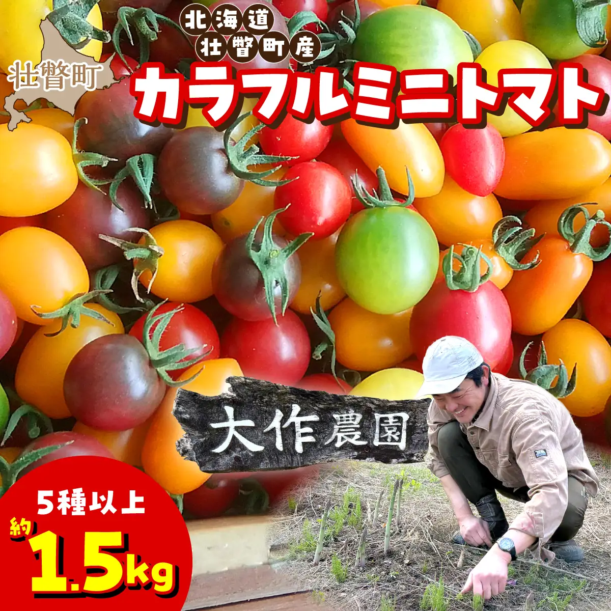 ＜2026年7月上旬よりお届け＞北海道壮瞥産 大作農園のカラフルミニトマト約1.5kg(5種以上) SBTR002