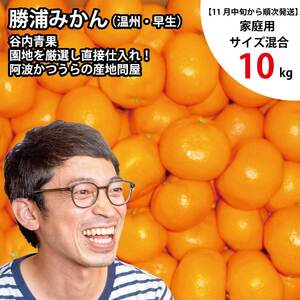 谷内青果 早生みかん 家庭用 サイズ混合 10kg