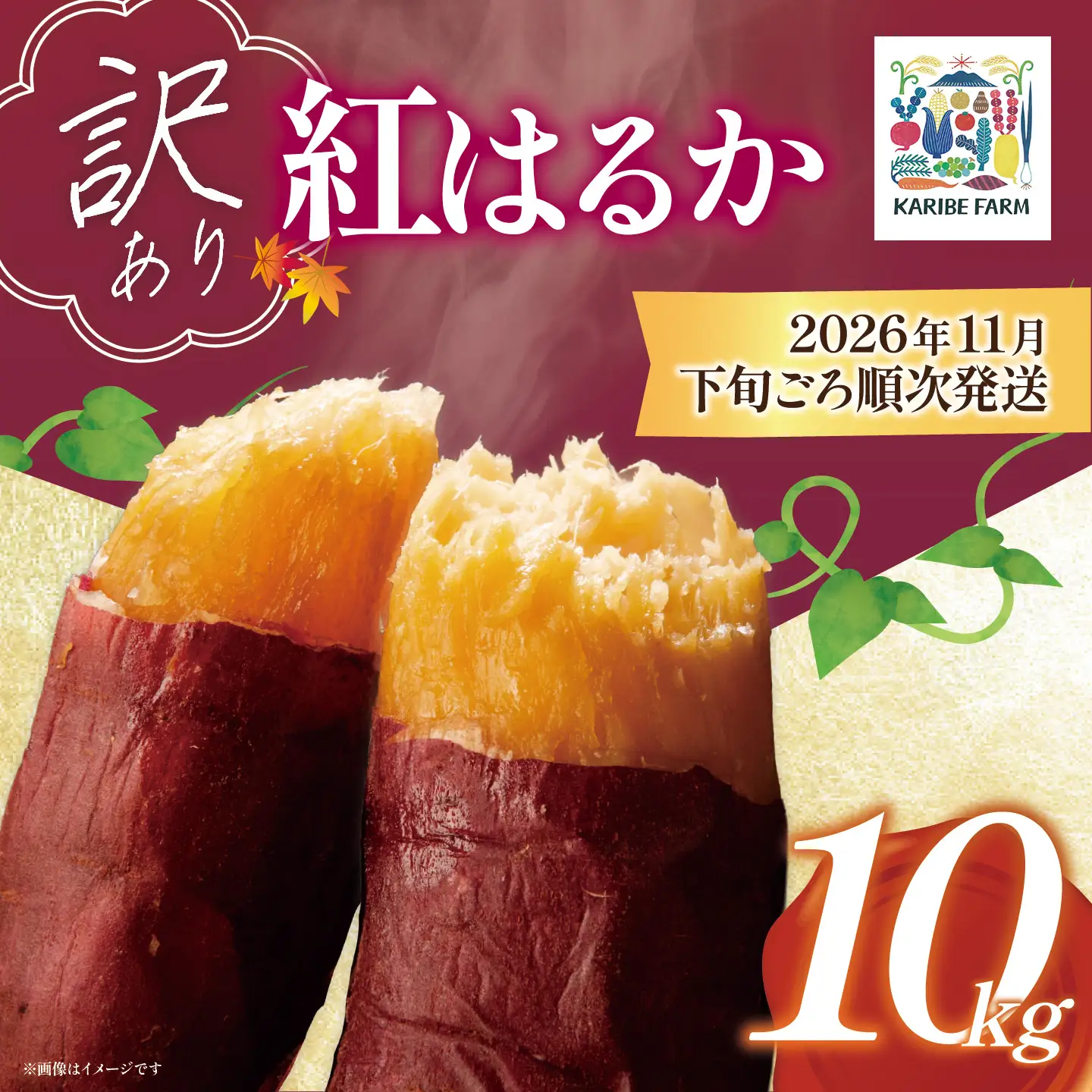 さつまいも 熟成 紅はるか 訳あり 10kg