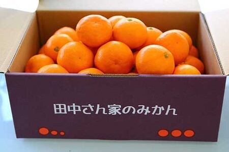 こだわり手詰め 有田みかん2Lサイズ（4.7kg）