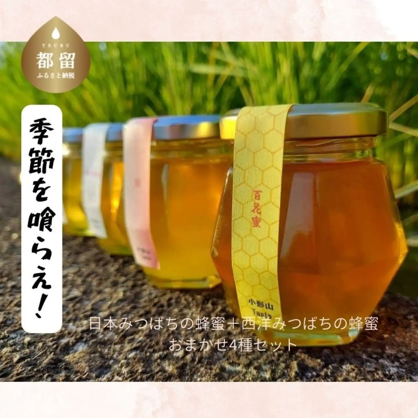 日本みつばちの蜂蜜＋西洋みつばちの蜂蜜食べ比べ4種セット 100ｇ×４　ハチミツ　はちみつ　ミツバチ　食べ比べ　ハチミツセット　パン　ヨーグルト
