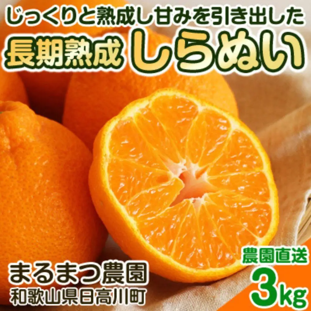 長期熟成しらぬい 約3kg 濃厚なコクと甘さ 農家直送 和歌山県産 【2027年5月～6月発送】