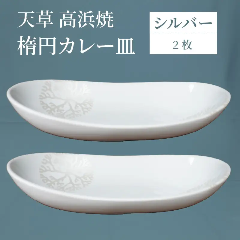 S026-067_天草 高浜焼 楕円カレー皿 2枚（シルバー）