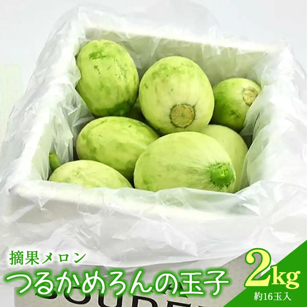 メロン つるかめろんの玉子(摘果メロン) 2kg 約16玉 - マスクメロン めろん フルーツ くだもの 果物 おやつ おつまみ アレンジ 料理 お漬物 お漬け物 炒め物 天ぷら 子メロン 小さい 産地直送 篤農 tn-0015