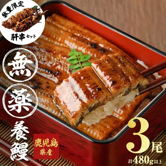 うなぎ 蒲焼 山田 鹿児島産 3尾 (計480g以上) 肝串セット 【ポータル限定】 a6-062-km