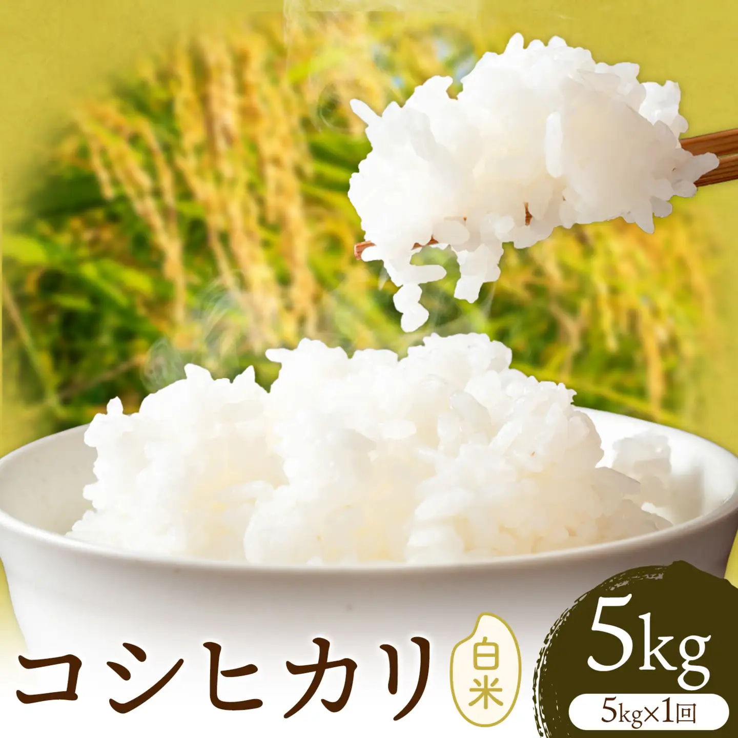 R8年産米 米 白米 コシヒカリ 5kg 《30日以内に出荷予定(土日祝除く)》