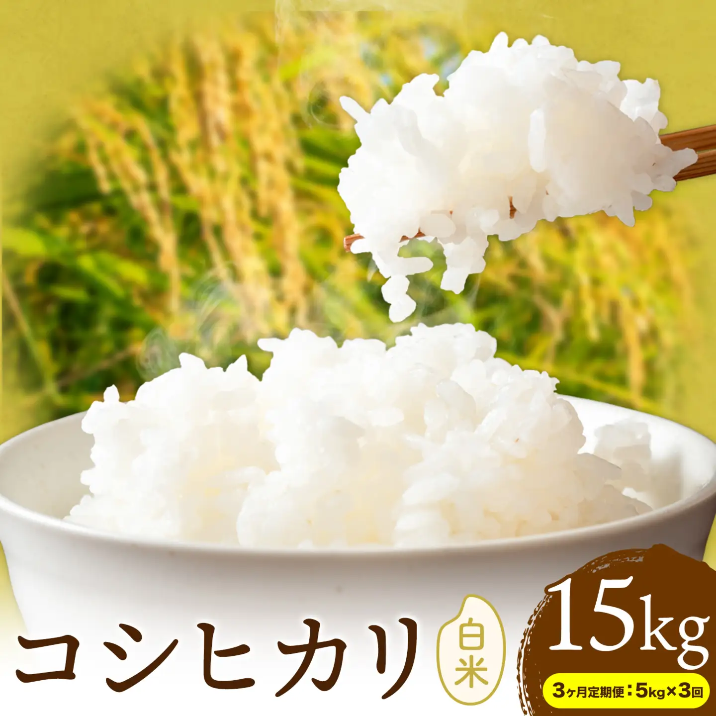 【3ヶ月定期便】R8年産米 米 白米 コシヒカリ 5kg 《お申込みの翌月から出荷》