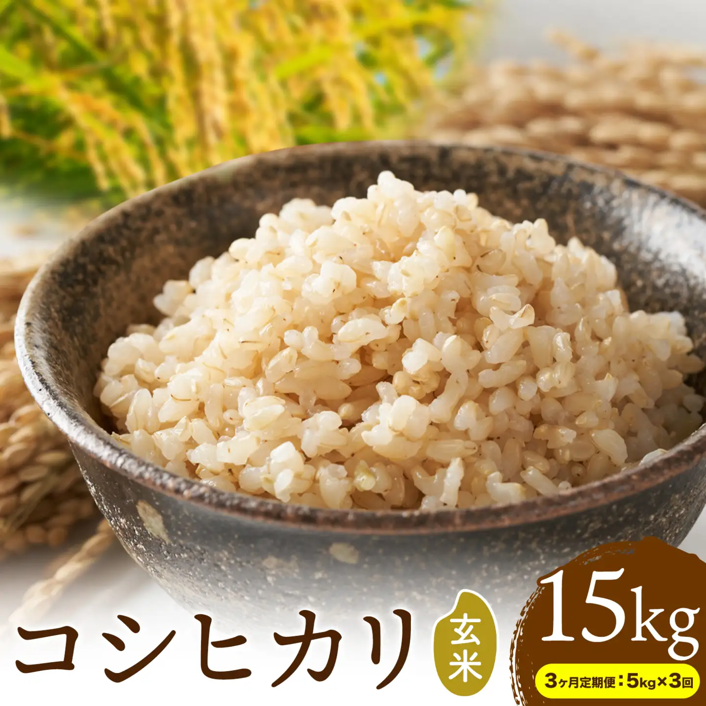 【3ヶ月定期便】R8年産米 米 玄米 コシヒカリ 5kg《お申込みの翌月から出荷》