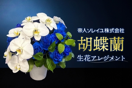 【帝人ソレイユ】041（コ）胡蝶蘭　生花アレンジメント