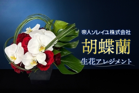 【帝人ソレイユ】055（コ）胡蝶蘭　生花アレンジメント