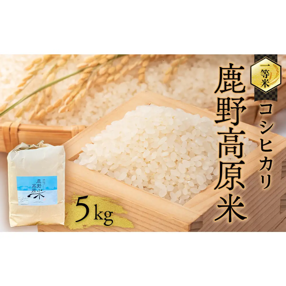 【先行予約】令和8年産 コシヒカリ 5 kg 鹿野高原米 精米 5日以内発送