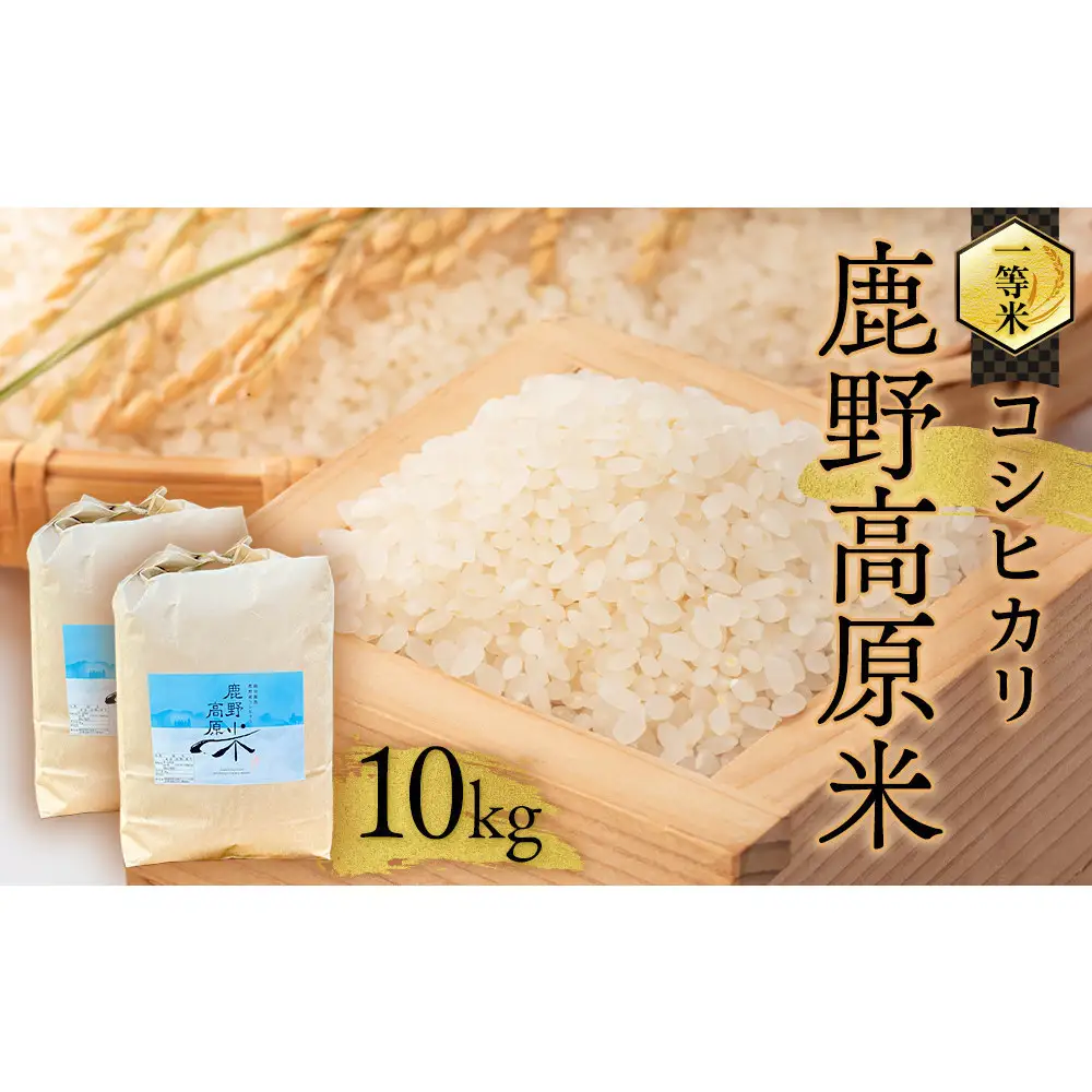 【先行予約】令和8年産 コシヒカリ 10 kg(5kg×2) 鹿野高原米 精米 5日以内発送 