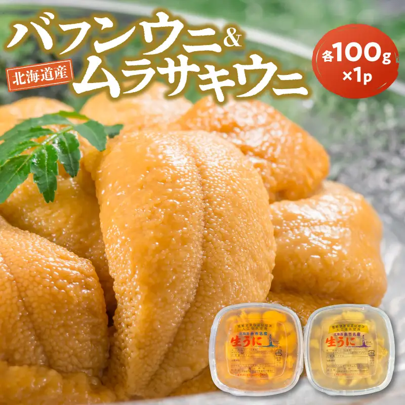 【2027年夏発送】塩水ウニ【バフンウニ＆ムラサキウニ】各100g×1パック 北海道余市町産 冷蔵  生うに うに 海産物 魚介類 北海道産 余市産 とろける 濃厚 磯の風味 甘味 強い 香り  北海道 余市町_Y037-0358