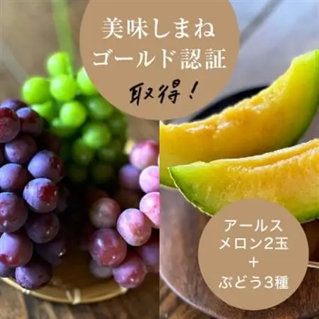 【2027年9月より順次発送・先行受付】アールスメロン2L2玉+ぶどう3種のフルーツ堪能セット【配送不可地域：離島】【1553256】