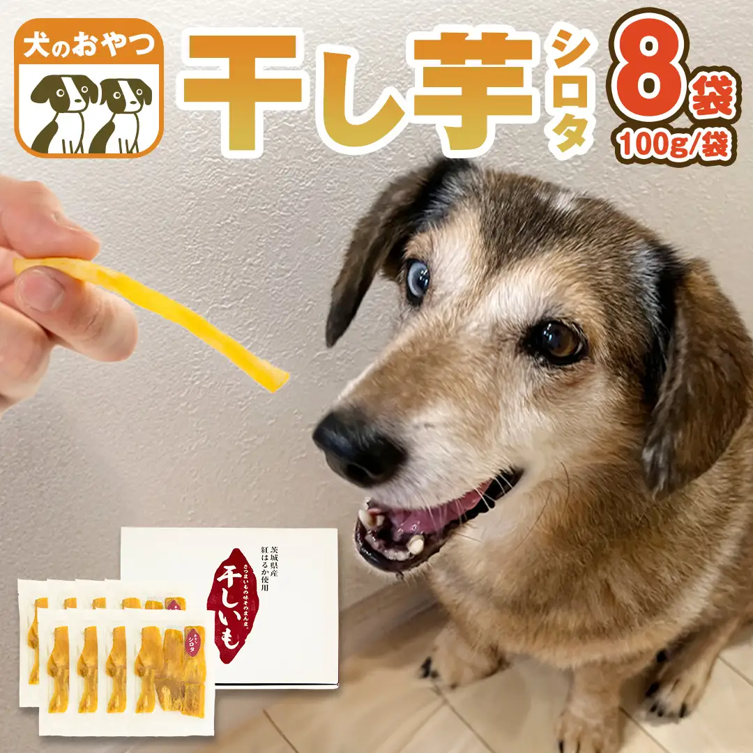 犬 の おやつ 干し芋 シロタ ( 100g × 8袋 ) 国産 手作り さつまいも 芋 お菓子 小分け 個包装 少量 栄養 食物繊維 噛みごたえ ドッグフード わんちゃん わんこ ペット ペットフード マツコの知らない世界 [EE017sa]	
