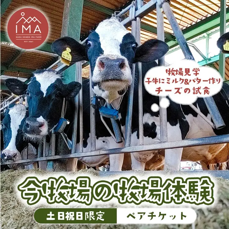 【土日祝日限定】今牧場の牧場体験 ペアチケット ｜ 牧場 体験 バター作り 搾乳 体験型 見学 那須 栃木県 那須町〔P-266〕
