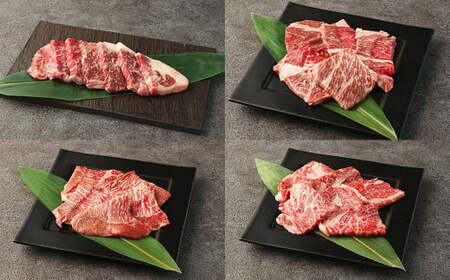 阿蘇あか牛 食べ比べセット（モモ・上カルビ・上ロース・サーロイン）約800g 4種 各約100g×8袋 赤牛 和牛 国産牛 牛肉 牛 肉 お肉 食べ比べ モモ カルビ ロース サーロイン 阿蘇