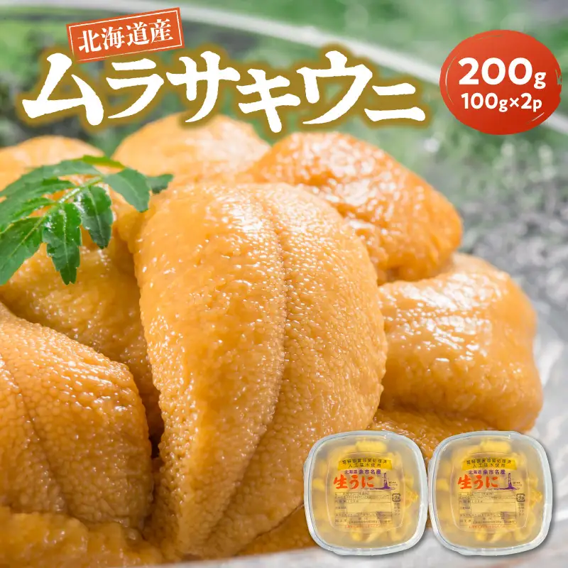 【2027年夏発送】塩水ウニ【ムラサキウニ】 100g×2パック 計200g 北海道余市町産塩水ウニ発祥の地 高級ウニ 高級雲丹 ムラサキウニ 白うに 目利き 北海道産ウニ 余市産ウニ 雲丹 うに 塩水うに_Y037-0357