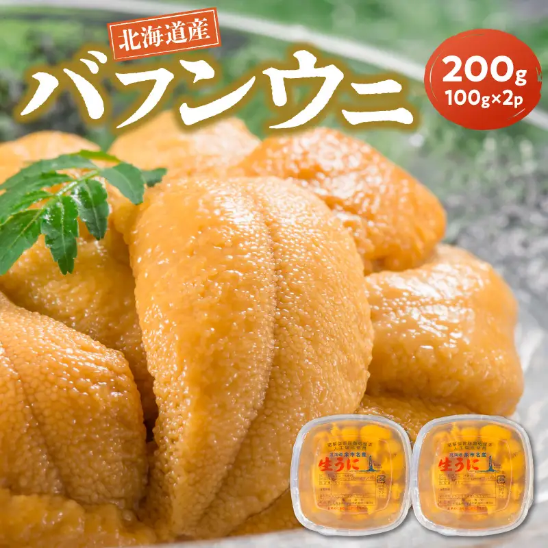 【2027年夏発送】塩水ウニ【バフンウニ】 100g×2パック 計200g 北海道余市町産 塩水ウニ発祥の地 高級ウニ 高級雲丹 バフンウニ 赤うに 目利き 北海道産ウニ 余市産ウニ 雲丹 うに 塩水うに_Y037-0360
