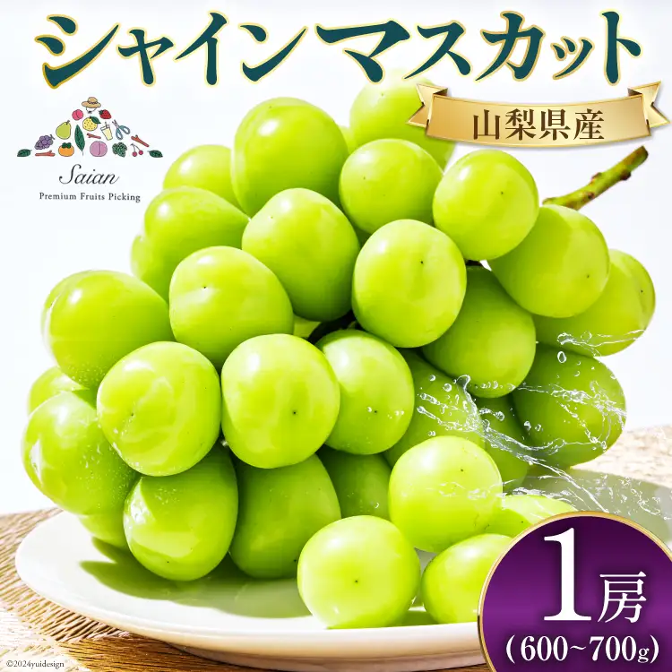 【2026年発送】先行受付 シャインマスカット 予約 1房 600 ～ 700g シャイン マスカット 山梨 フルーツ 果物 くだもの マスカット ブドウ ぶどう 葡萄 種無し 山梨県産 期間限定 季節限定 冷蔵
