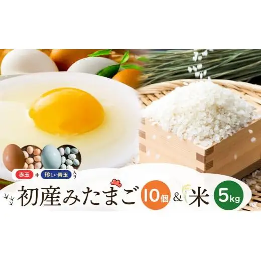 初産みたまご 10個・米 約5kg |  生卵 たまご 玉子 鶏卵 初産みたまご 卵かけご飯 朝ごはん 玉子焼き 人気 長野県 塩尻市