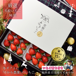 [先行予約]「究極のふつういちご」厳選大粒とちあいか 30粒入り＋いちご狩りペアご招待券 [2026年12月中旬より順次発送]  [0649]