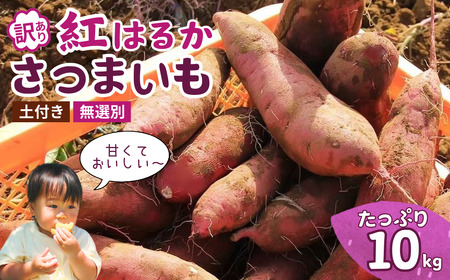 【訳あり】無選別+土付きのさつまいも(紅はるか)10kg | さつまいも さつまいも さつまいも さつまいも さつまいも