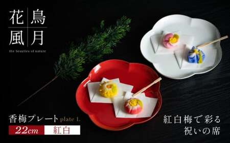 【紅白梅で彩る祝いの席】22cm 香梅プレート L 紅白 2枚セット【金照堂】有田焼 祝いの席 ハレの日 正月 大皿 プレート 食器セット 器 皿 bj044