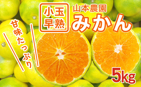 山本農園の小玉早熟みかん ５kg　みかん ミカン 蜜柑 たらみかん 太良みかん 温州みかん 完熟みかん 甘熟 早熟 柑橘 国産 佐賀県産 太良町 こだわり 有機栽培 産地直送 贈答品 詰め合わせ 極甘 小玉 L71x1【2026年９月下旬～10月下旬】