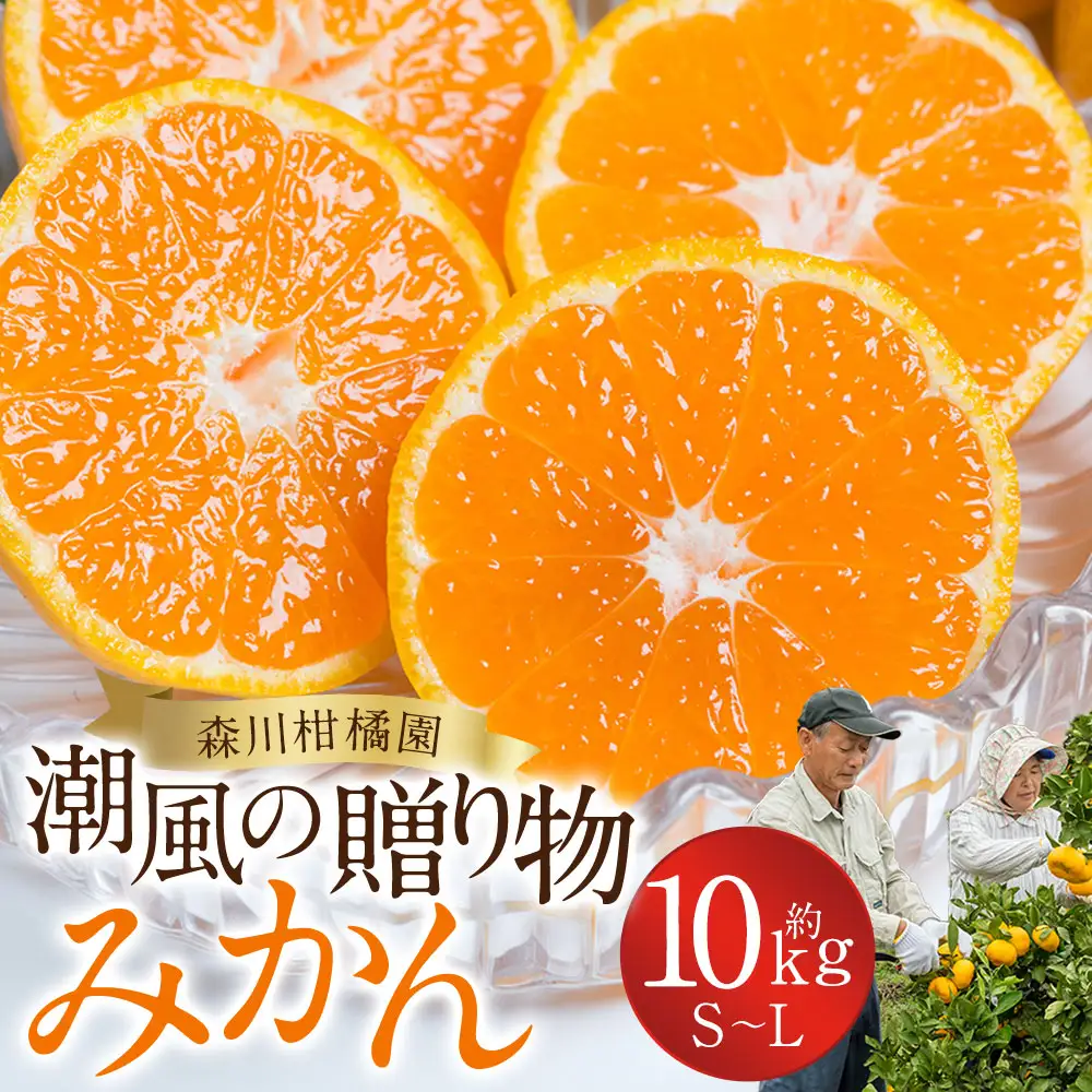 潮風の贈り物 みかん 10kg みかん ミカン 蜜柑 たらみかん 太良みかん 温州みかん 完熟みかん 甘熟 柑橘 有機栽培 国産 佐賀県産 太良町 こだわり 贈答品 産地直送 詰め合わせ 極甘 N38x1 【2026年10月下旬～2027年1月上旬迄発送予定】